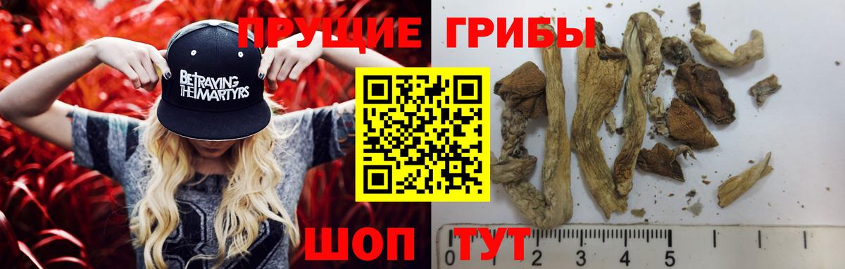 Псилоцибиновые грибы GOLDEN TEACHER Бахчисарай